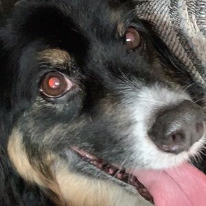 Meet your Posher, Alexandra